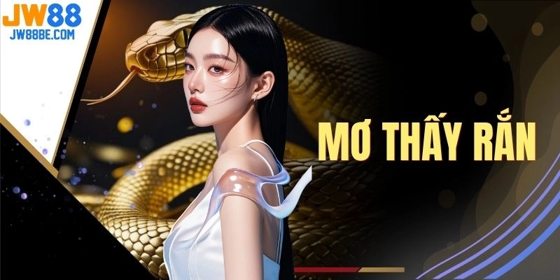 Mơ Thấy Rắn - 5 Phút Giải Mã Các Tình Huống Phổ Biến Nhất
